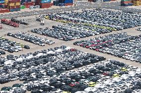 Chinese-made EV Export Growth