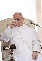 Pope Leo XIV Leads The General Audience - Vatican