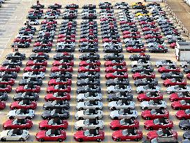 Chinese-made Vehicles Export Growth