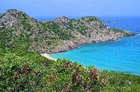 Illustration - Saint-Barthelemy Island