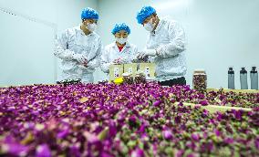 Rose Industry
 in Zhangye