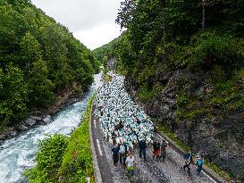 Traditional Annual Transhumance - France