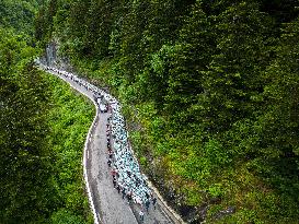 Traditional Annual Transhumance - France