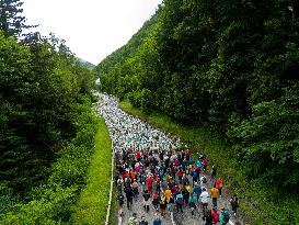 Traditional Annual Transhumance - France