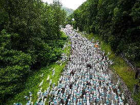 Traditional Annual Transhumance - France