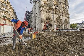 Exclusive - Illustration - The Cathedral of Notre Dame - Paris