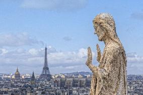 Exclusive - Illustration - The Cathedral of Notre Dame - Paris