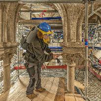 Exclusive - Illustration - The Cathedral of Notre Dame - Paris