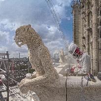 Exclusive - Illustration - The Cathedral of Notre Dame - Paris