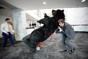 Kodak the Bear on Capitol Hill - Washington