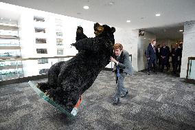 Kodak the Bear on Capitol Hill - Washington