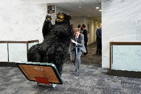 Kodak the Bear on Capitol Hill - Washington
