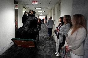 Kodak the Bear on Capitol Hill - Washington