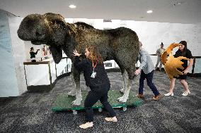 Marty the Moose on Capitol Hill - Washington