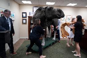 Marty the Moose on Capitol Hill - Washington