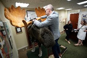 Marty the Moose on Capitol Hill - Washington