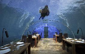 Illustration - Maldives