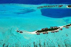 Illustration - Maldives