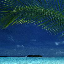 Illustration - Maldives