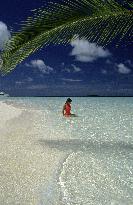 Illustration - Maldives