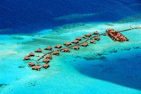 Illustration - Maldives
