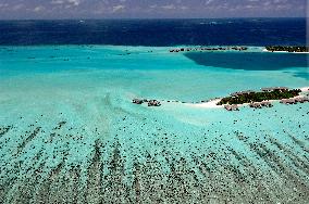 Illustration - Maldives