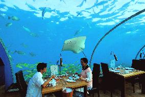 Illustration - Maldives