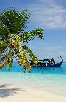 Illustration - Maldives