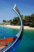 Illustration - Maldives