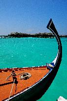 Illustration - Maldives