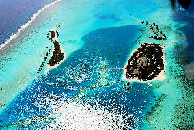 Illustration - Maldives