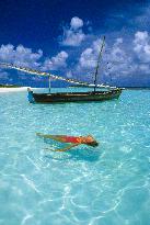 Illustration - Maldives
