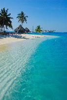 Illustration - Maldives