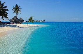 Illustration - Maldives