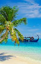 Illustration - Maldives