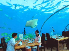 Illustration - Maldives