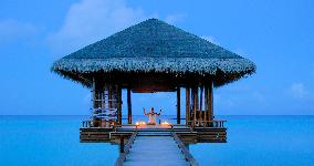 Illustration - Maldives