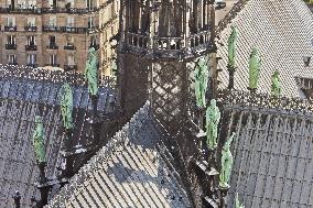 Exclusive - Illustration - The Cathedral of Notre Dame - Paris