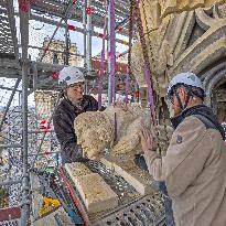 Exclusive - Illustration - The Cathedral of Notre Dame - Paris