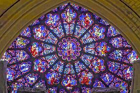 Exclusive - Illustration - The Cathedral of Notre Dame - Paris