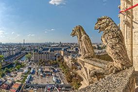 Exclusive - Illustration - The Cathedral of Notre Dame - Paris