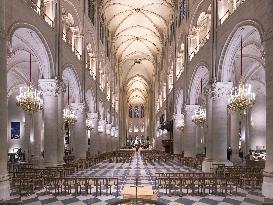 Exclusive - Illustration - The Cathedral of Notre Dame - Paris