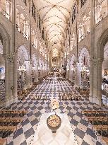 Exclusive - Illustration - The Cathedral of Notre Dame - Paris