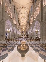 Exclusive - Illustration - The Cathedral of Notre Dame - Paris