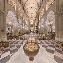 Exclusive - Illustration - The Cathedral of Notre Dame - Paris