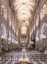 Exclusive - Illustration - The Cathedral of Notre Dame - Paris