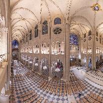 Exclusive - Illustration - The Cathedral of Notre Dame - Paris