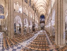 Exclusive - Illustration - The Cathedral of Notre Dame - Paris