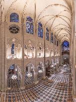 Exclusive - Illustration - The Cathedral of Notre Dame - Paris