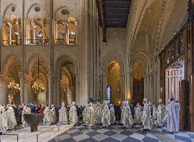 Exclusive - Illustration - The Cathedral of Notre Dame - Paris